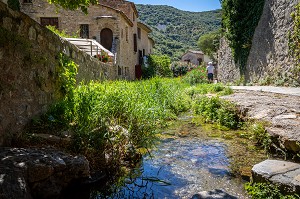  SMALL LANE IN THE VILLAGE, CLASSED AS ONE OF THE MOST BEAUTIFUL VILLAGES OF FRANCE, SAINT-GUILHEM-LE-DESERT, HERAULT, OCCITANIE, FRANCE
