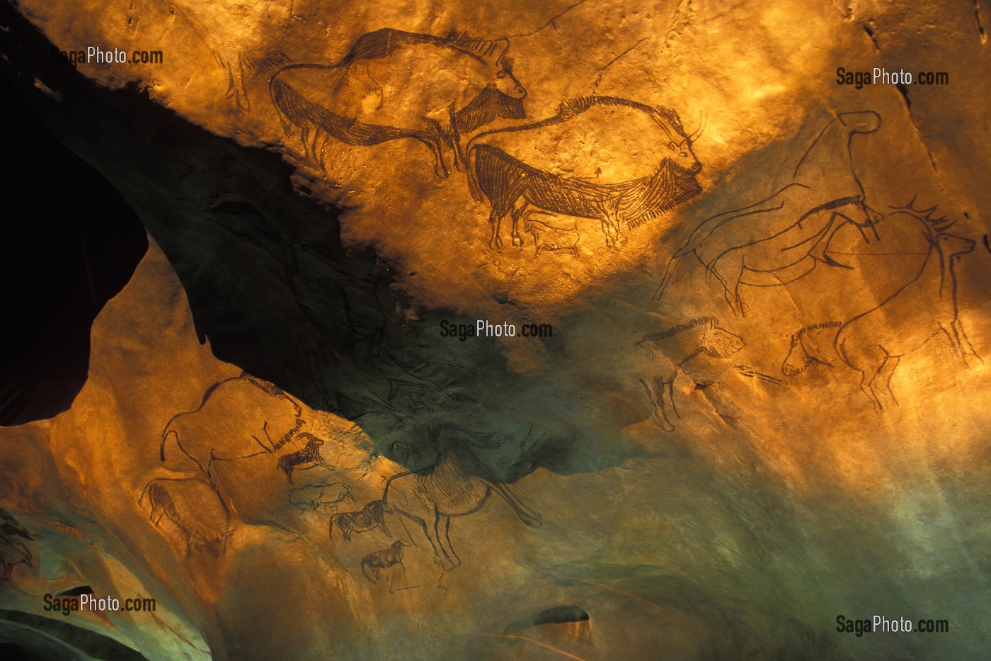 REPRODUCTION EN FAC-SIMILE DE LA CELEBRE GROTTE DE NIAUX PEINTE IL Y A 12000 ANS, PARC PYRENEEN DE L'ART PREHISTORIQUE, ARIEGE (09), FRANCE 