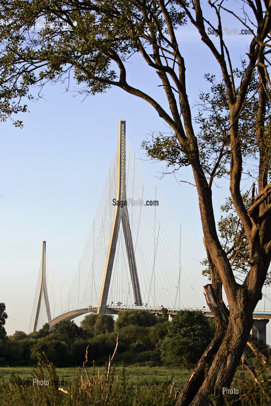 PONT DE NORMANDIE QUI ENJAMBE LA SEINE ENTRE HONFLEUR ET LE HAVRE, PONT A HAUBANS DE 2143 METRES DONT 856 ENTRE LE PYLONES, VUE DE LA BERGE COTE HONFLEUR, CALVADOS (14), NORMANDIE, FRANCE 