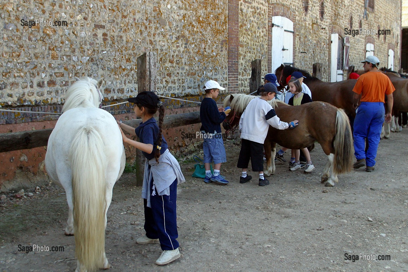 PREPARATION DES PONEYS, FERME EQUESTRE DE MONTIGNY-SUR-AVRE, EURE-ET-LOIR (28), FRANCE 