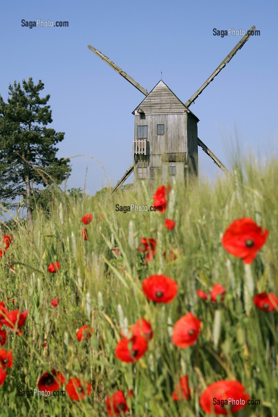 MOULIN D'YMONVILLE PRES D'UN CHAMP DE BLE ET COQUELICOTS, EURE-ET-LOIR 