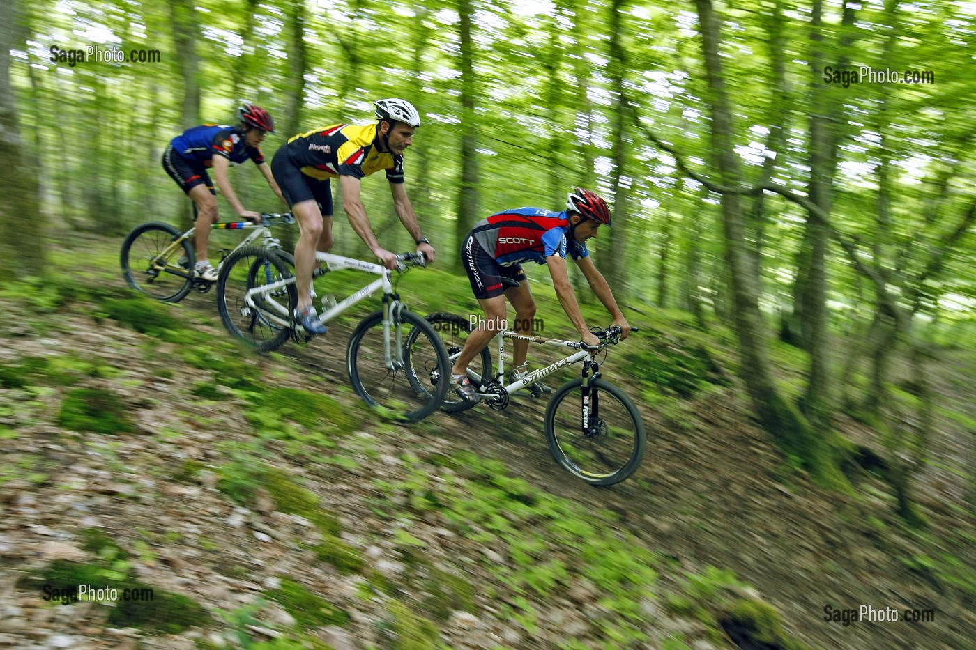 BALLADE EN VTT EN FORET DU PERCHE (REGION DE  NOGENT-LE-ROTROU), EURE ET LOIR (28) 