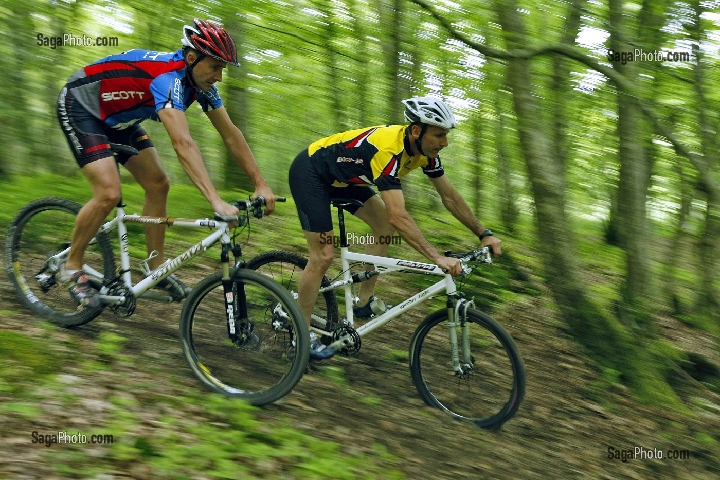 BALLADE EN VTT EN FORET DU PERCHE REGION DE NOGENT-LE-ROTROU, EURE-ET-LOIR (28), FRANCE 