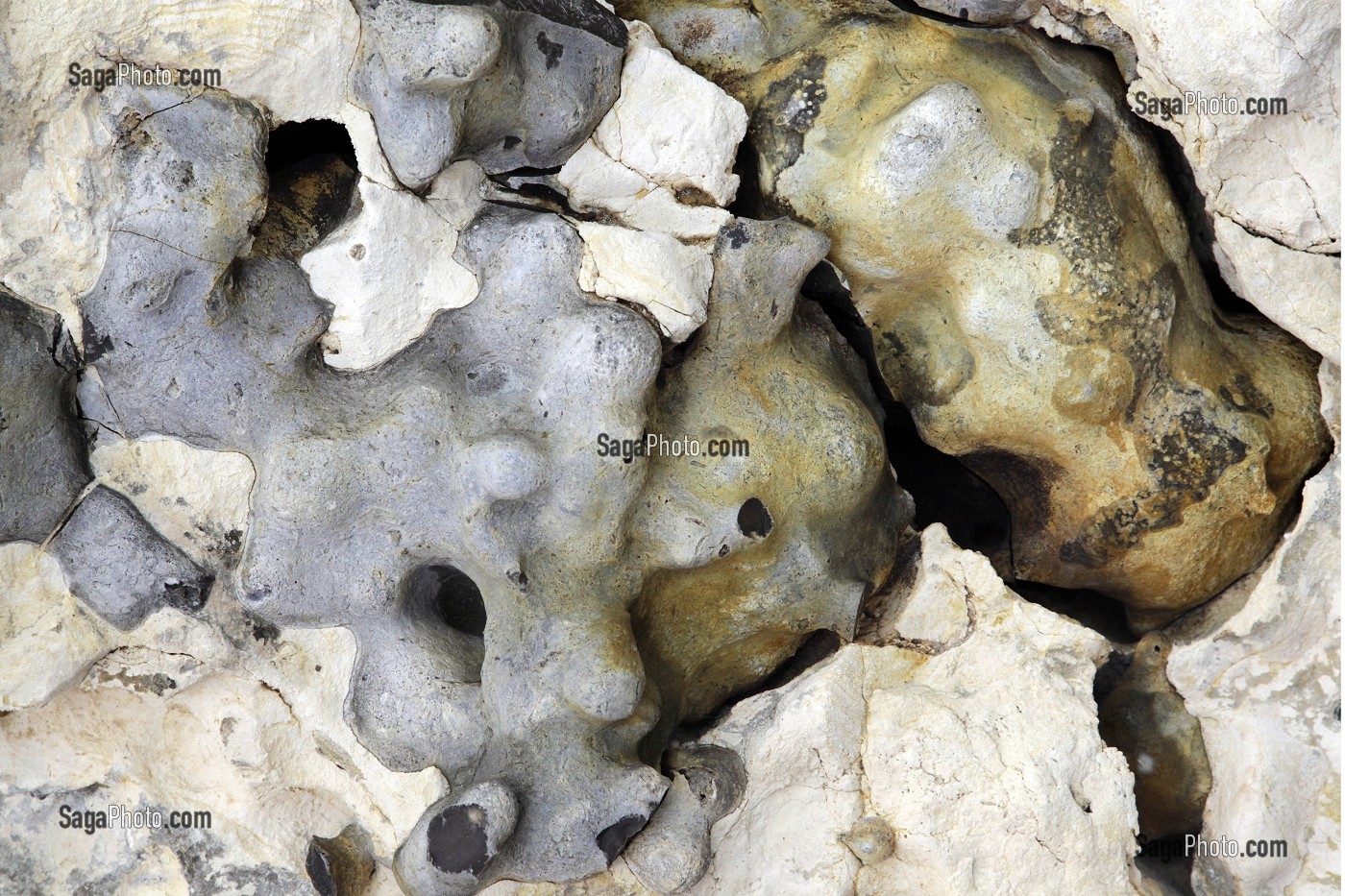 GEODES MARINES, GROTTES DU FOULON, SITE GEOLOGIQUE CALCAIRE, CHATEAUDUN, EURE-ET-LOIR (28), FRANCE 