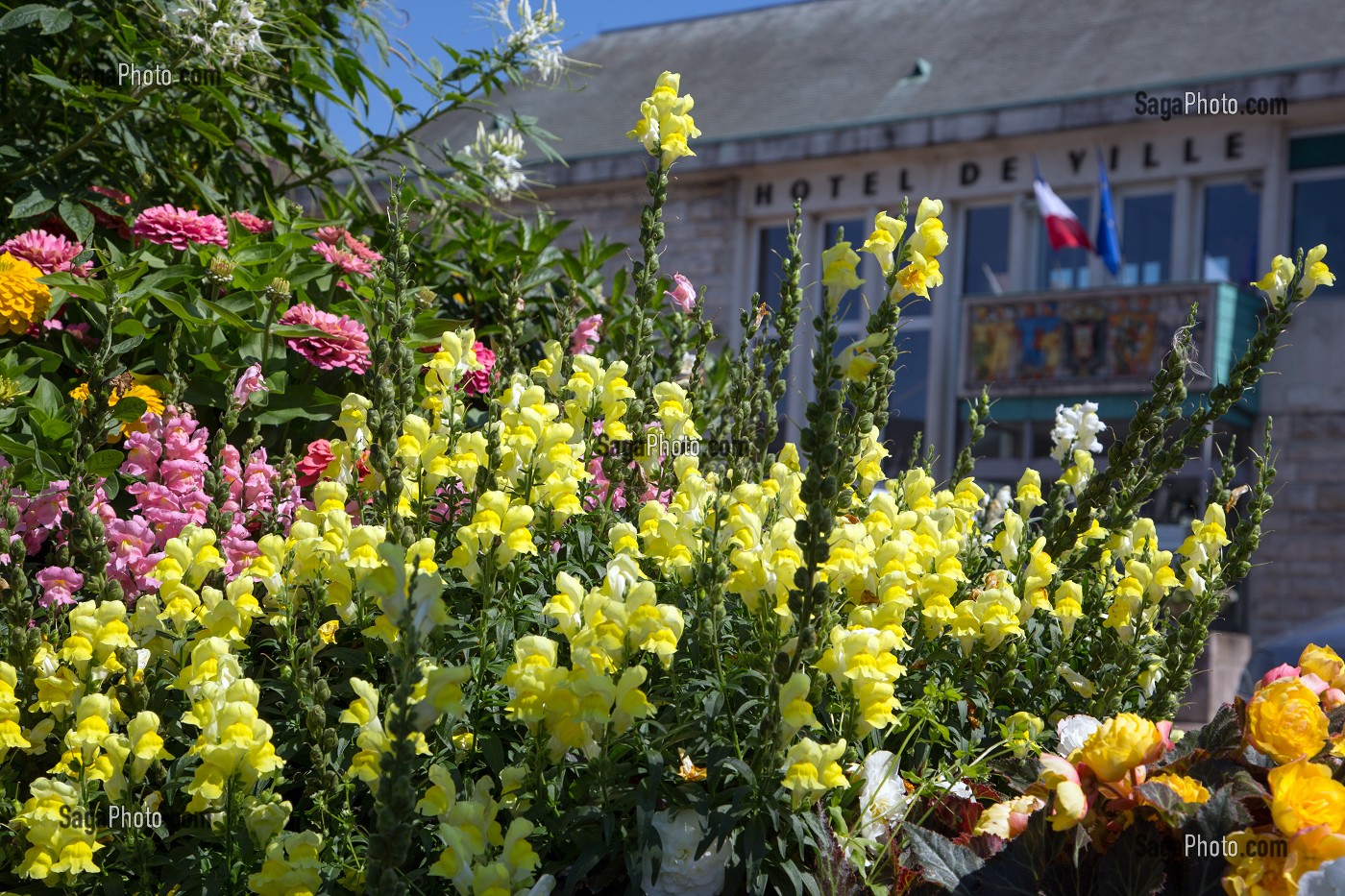 PARTERRE DE FLEURS DEVANT L'HOTEL DE VILLE DE LA LOUPE, EURE-ET-LOIR (28), FRANCE 