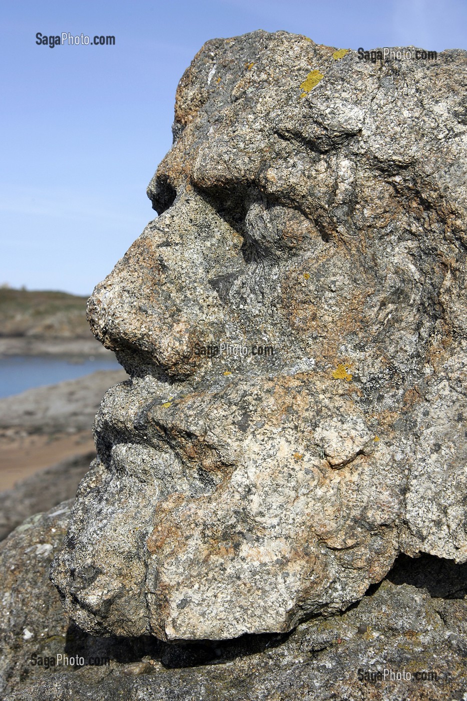 LES ROCHERS SCULPTES DE ROTHENEUF PAR L'ABBE FOURRE, SAINT-MALO, ILLE-ET-VILAINE (35), FRANCE 