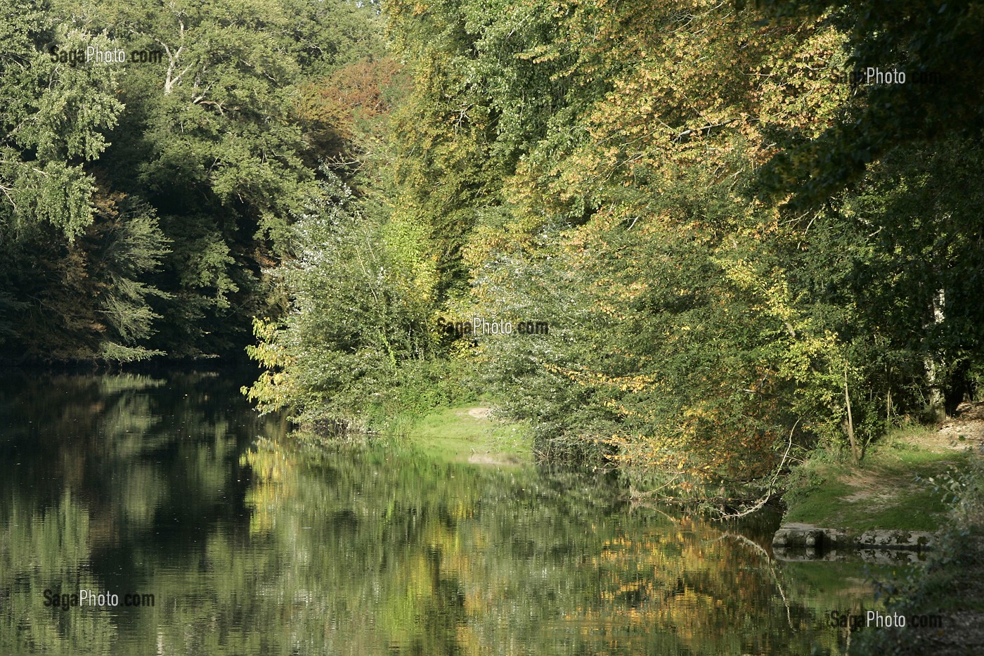 BORD DU CHER, CHENONCEAU, INDRE-ET-LOIRE (37), FRANCE 