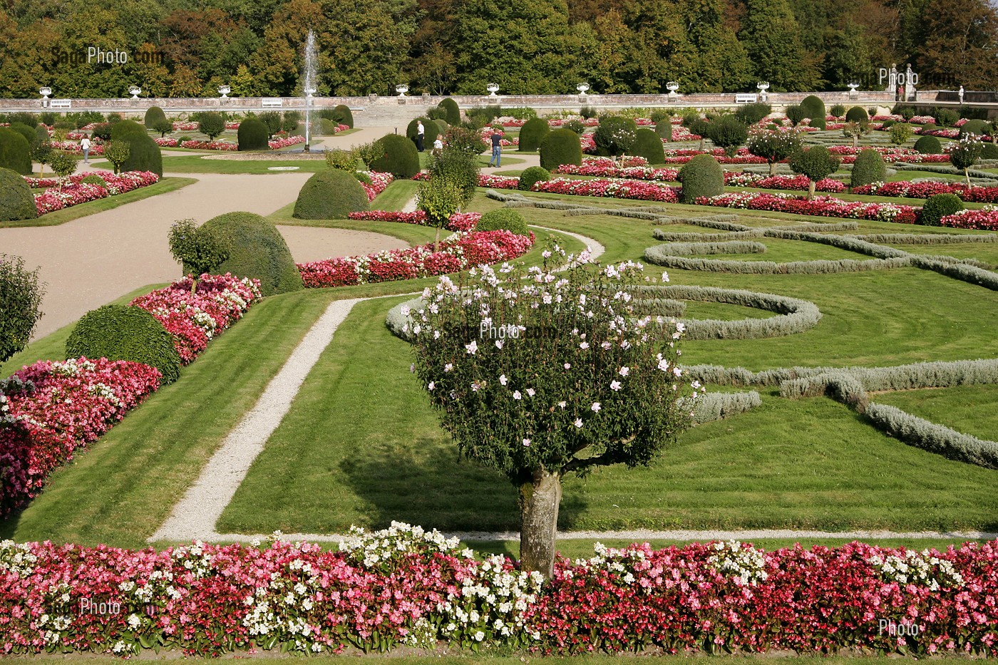 JARDIN DE DIANE DE POITIERS, CHATEAU DE CHENONCEAU, INDRE-ET-LOIRE (37), FRANCE 