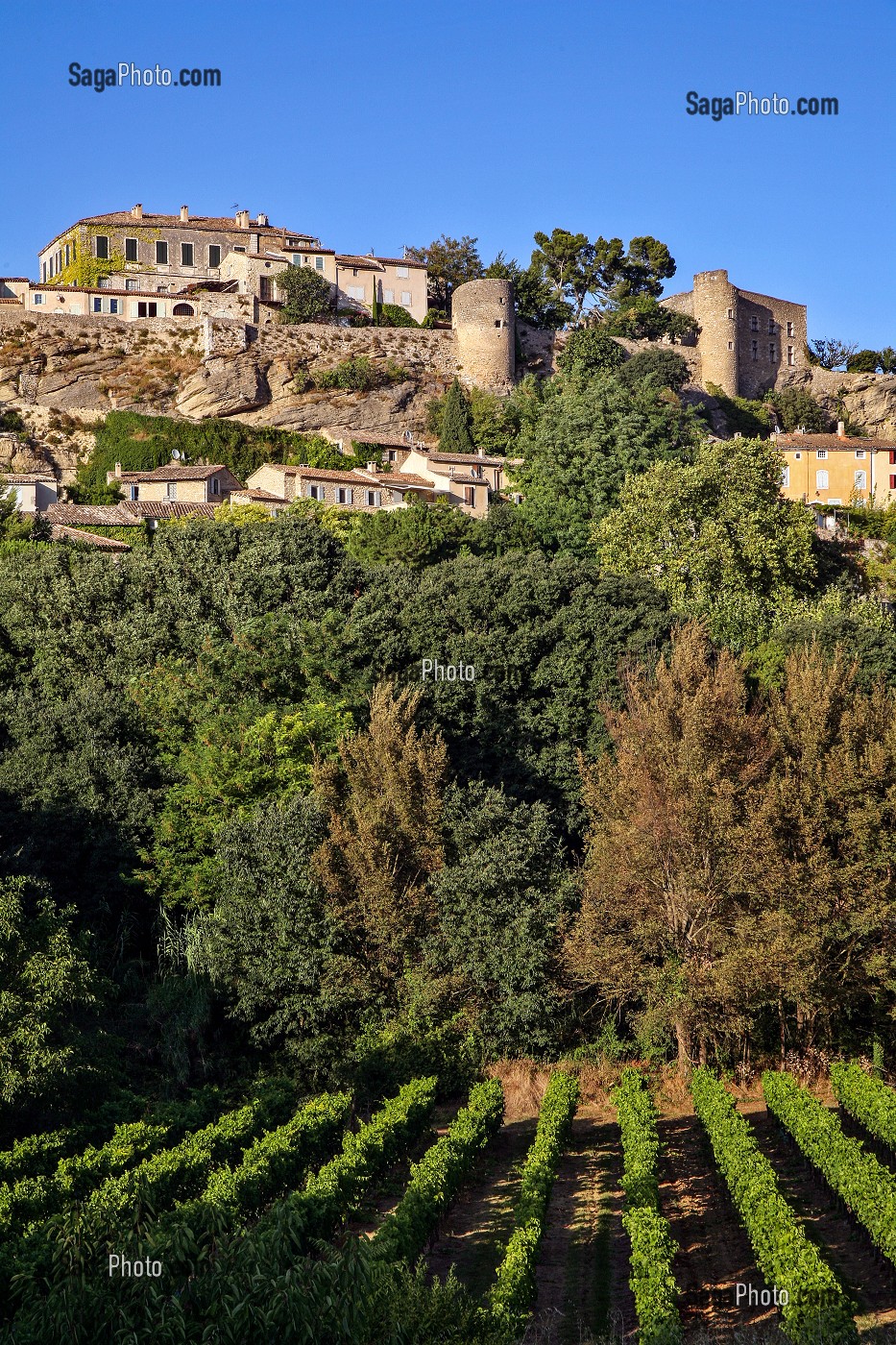 VIGNES DU COTE DU VENTOUX DEVANT LE VILLAGE FORTIFIE DE MENERBES, UN DES PLUS BEAUX DE FRANCE, VAUCLUSE (84), FRANCE 