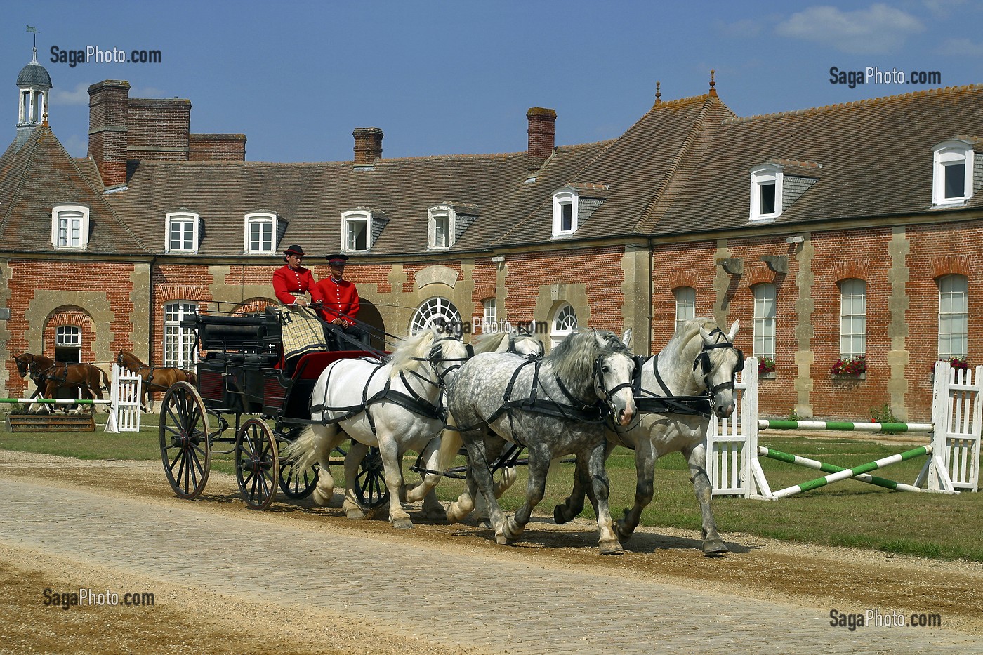 ATTELAGE AU SPECTACLE EQUESTRE AU HARAS DU PIN, ORNE (61) 