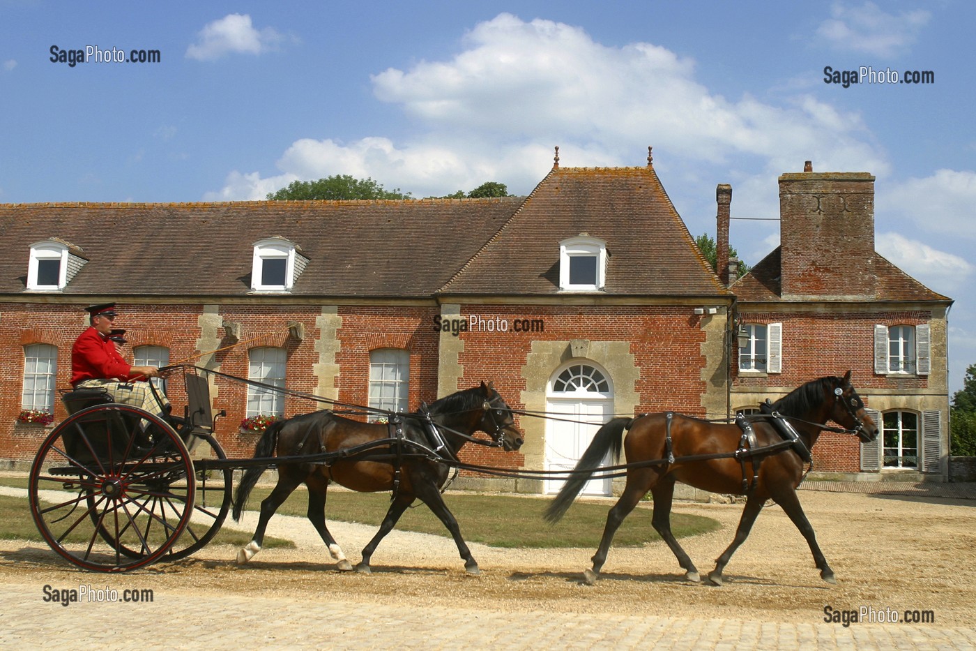 ATTELAGE AU SPECTACLE EQUESTRE AU HARAS DU PIN, ORNE (61) 