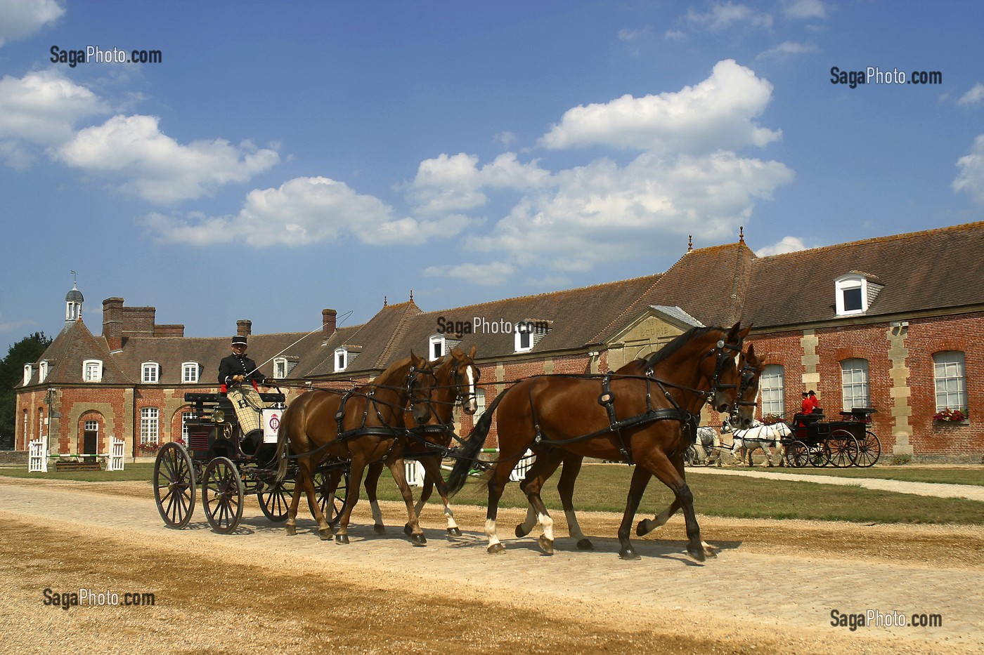 DEFILE D'ATTELAGE AU SPECTACLE EQUESTRE AU HARAS DU PIN, ORNE (61), FRANCE 