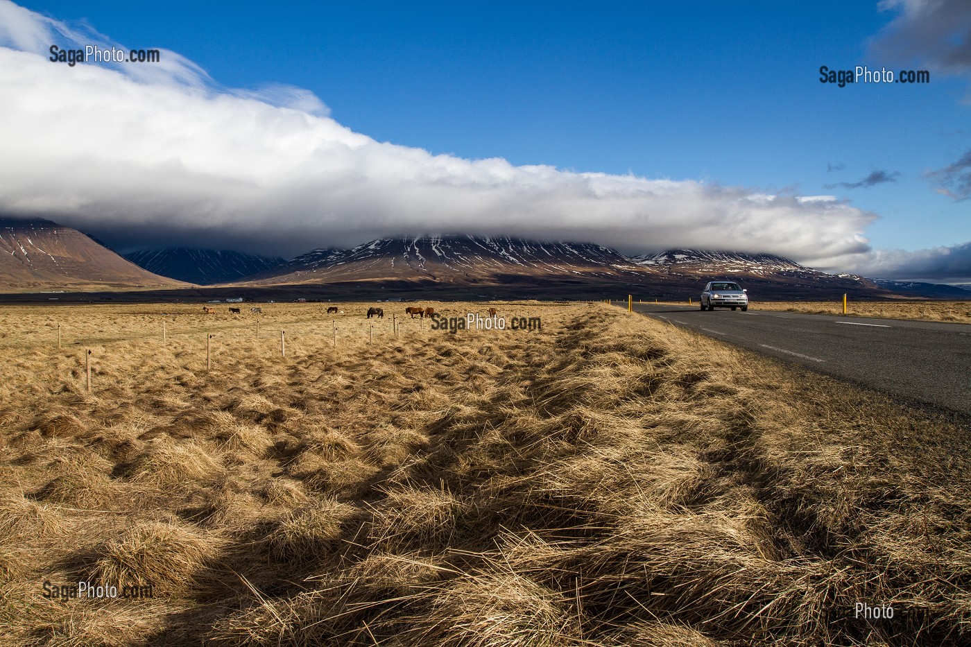 PISTES ET ROUTES, TRANSPORT ROUTIER EN ISLANDE, EUROPE 