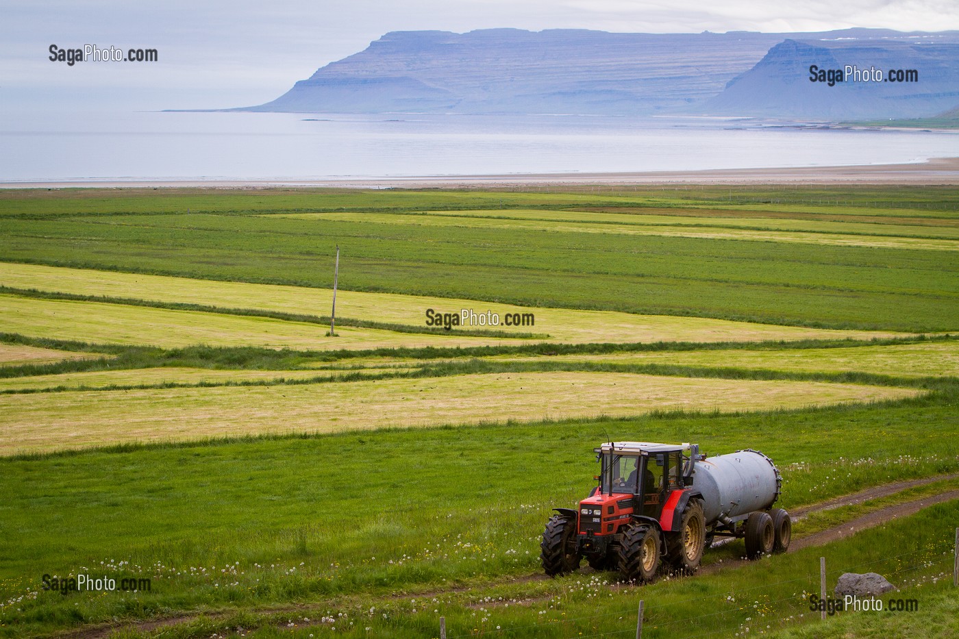 FERME, AGRICULTURE EN ISLANDE, EUROPE 