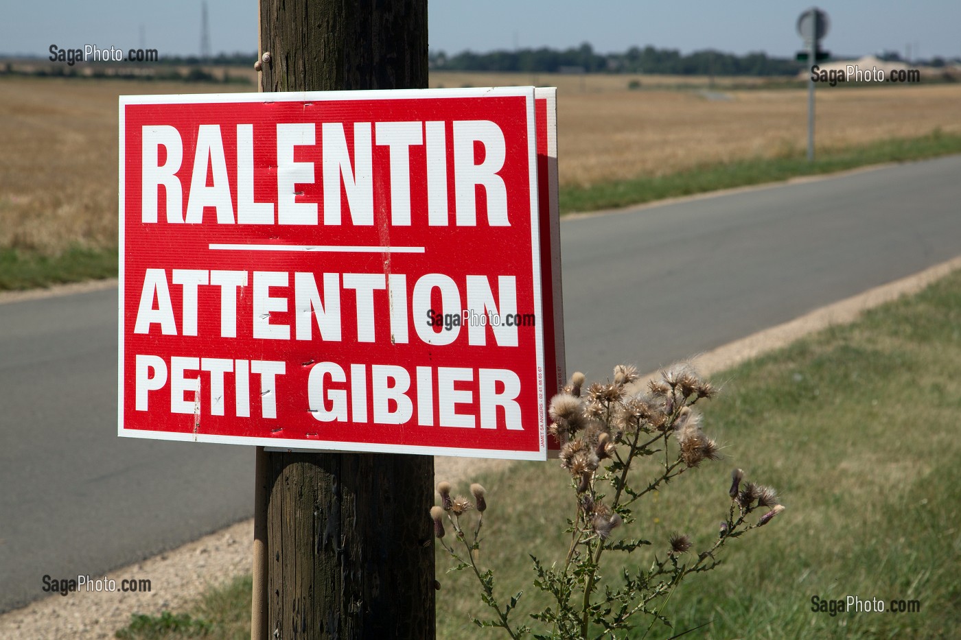 PANNEAU RALENTIR, ATTENTION PETIT GIBIER, EURE-ET-LOIR (28), FRANCE 