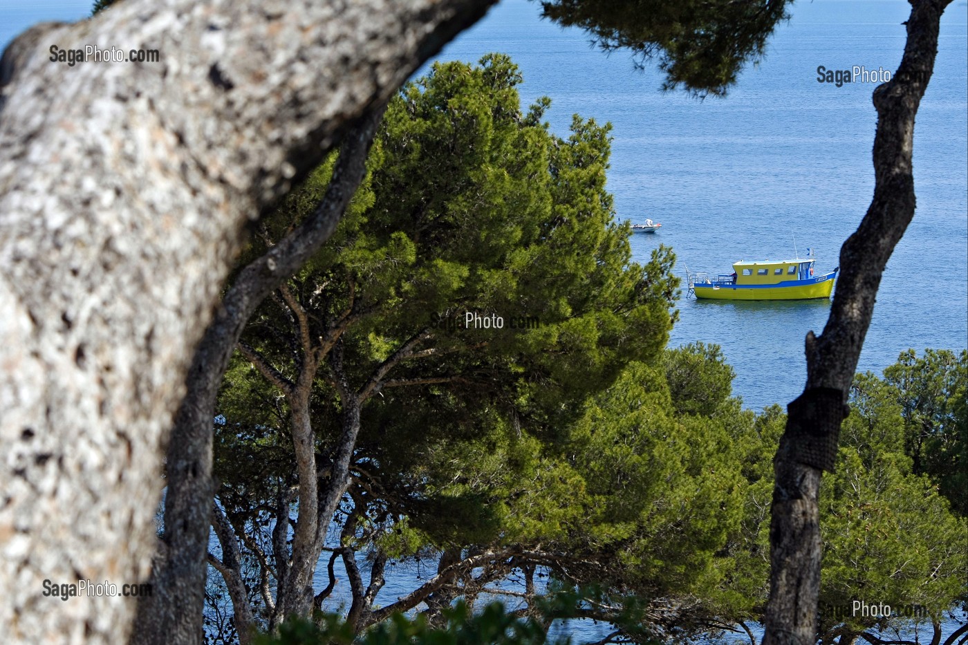 BATEAU DE PECHE AU LARGE DE CARRY-LE-ROUET, PARC MARIN DE LA COTE BLEUE, FRANCE 