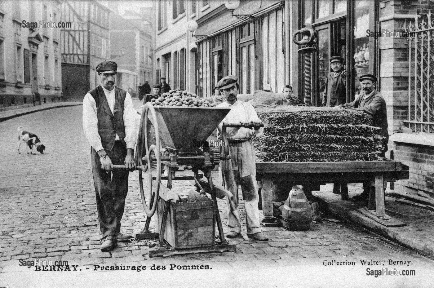 PRESSURAGE DE POMMES, BERNAY, (27) EURE, HAUTE-NORMANDIE, FRANCE 