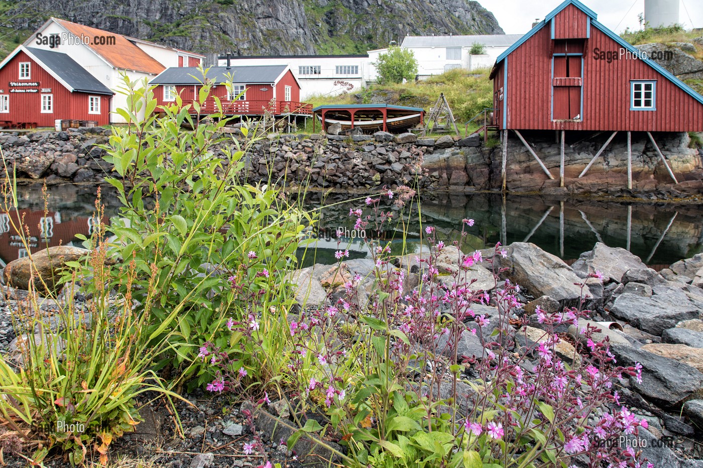 MAISONS TRADITIONNELLES EN BOIS DE COULEUR ROUGE, VILLAGE MUSEE DE PECHEURS DE A (NORSK FISKEVAERSMUSEUM), ILES LOFOTEN, NORVEGE 
