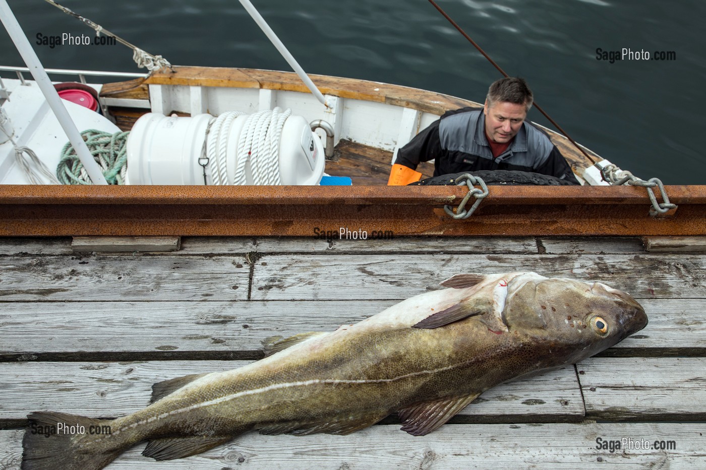 Pêche en mer et en fjord en Norvège
