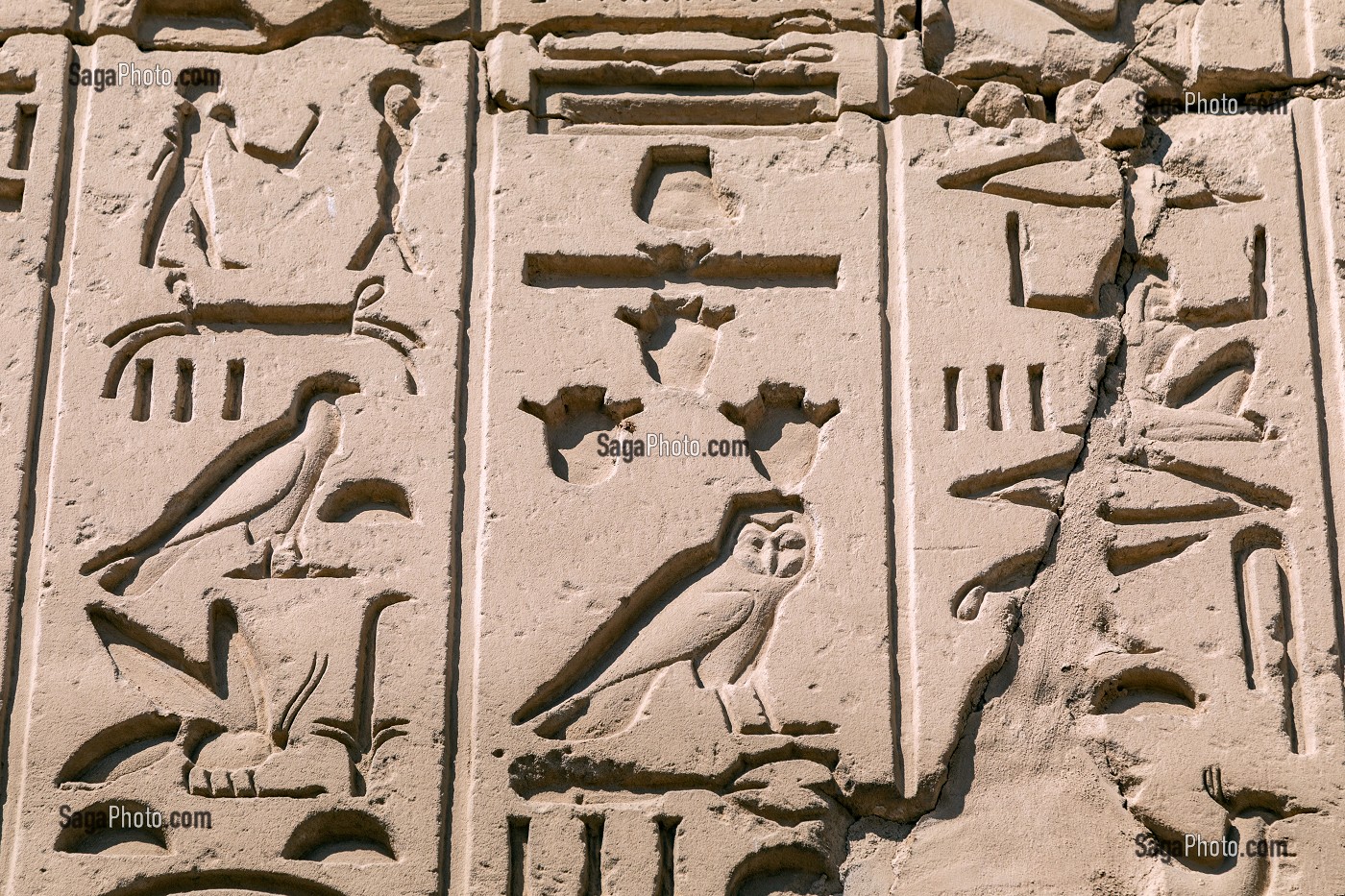 HIEROGLYPHES EGYPTIENNES ECRITURE SACREE FIGURATIVE, DOMAINE D'AMON, TEMPLE DE KARNAK, SITE DE L'EGYPTE ANTIQUE DE LA XIII EME DYNASTIE, PATRIMOINE MONDIAL DE L'UNESCO, LOUXOR, EGYPTE, AFRIQUE 