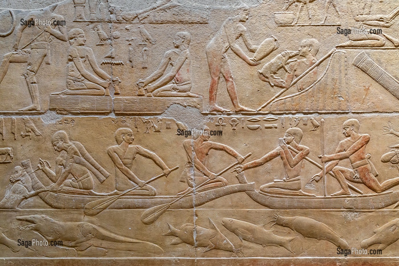 SCENES DE PECHE, D'ELEVAGE ET CULTURE, BAS-RELIEF DU MASTABA DE KAGEMNI, VIZIR DU PHARAON TETI DE LA IV EME DYNASTIE, NECROPOLE DE SAQQARAH, REGION DE MEMPHIS ANCIENNE CAPITALE DE L'EGYPTE ANTIQUE, LE CAIRE, EGYPTE, AFRIQUE 