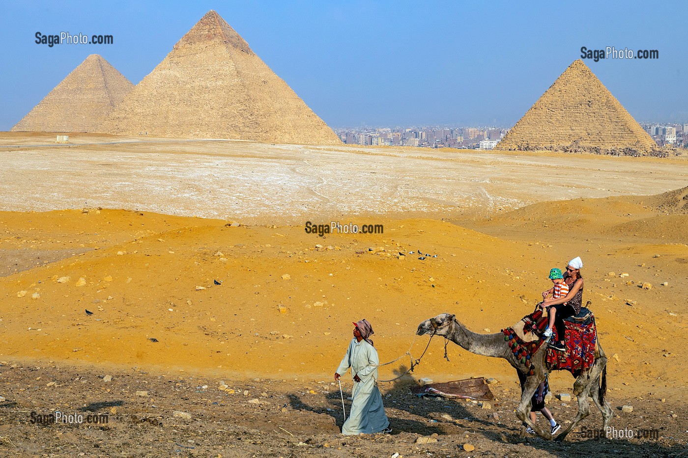 PROMENADE EN DROMADAIRE DANS LE DESERT AU PIED DES PYRAMIDES DE GIZEH, LE CAIRE, EGYPTE, AFRIQUE 