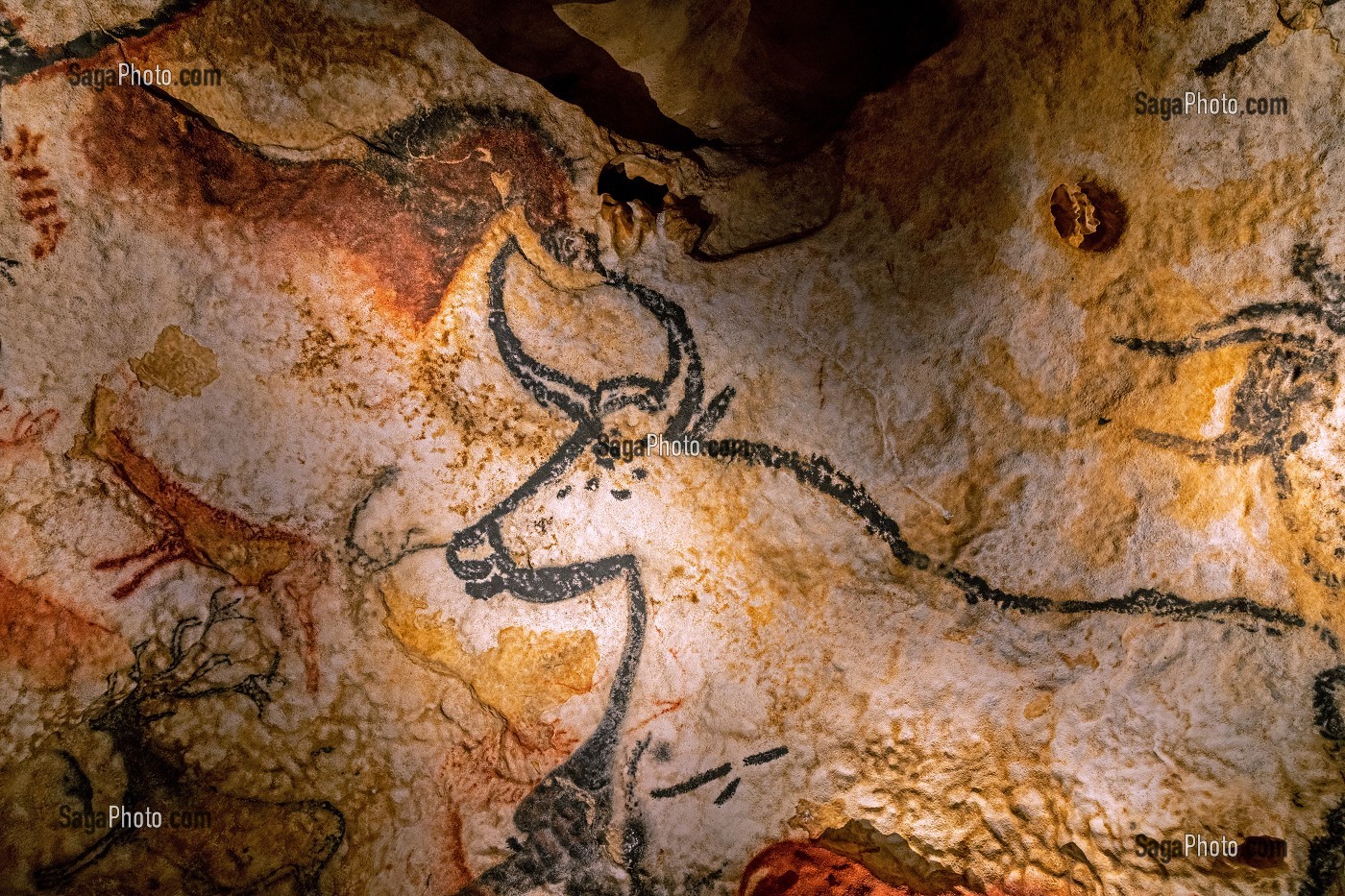 LASCAUX IV, GROTTE, PREHISTOIRE, PEINTURE RUPESTRE, ANIMAUX PREHISTORIQUES, REPRODUCTION