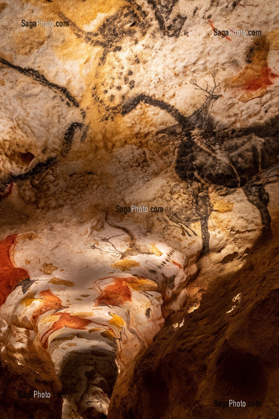 LASCAUX IV, GROTTE, PREHISTOIRE, PEINTURE RUPESTRE, ANIMAUX PREHISTORIQUES, REPRODUCTION