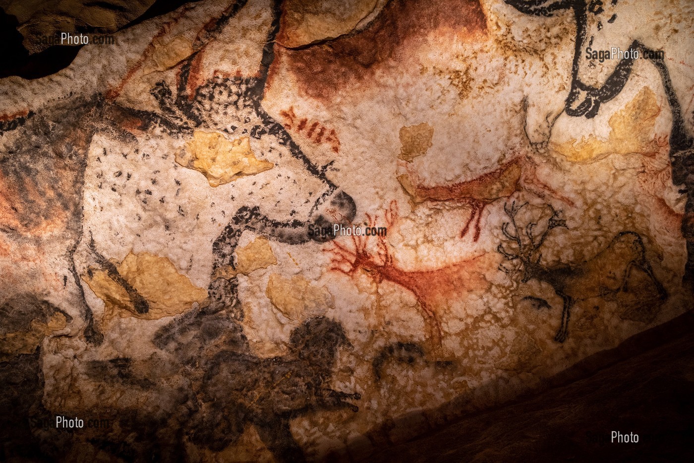 LASCAUX IV, GROTTE, PREHISTOIRE, PEINTURE RUPESTRE, ANIMAUX PREHISTORIQUES, REPRODUCTION