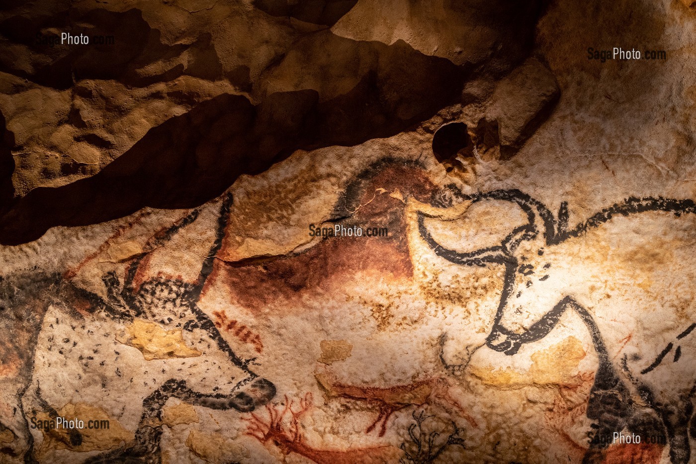 LASCAUX IV, GROTTE, PREHISTOIRE, PEINTURE RUPESTRE, ANIMAUX PREHISTORIQUES, REPRODUCTION