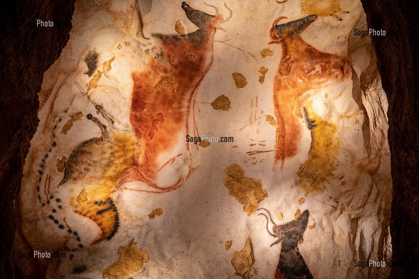 LASCAUX IV, GROTTE, PREHISTOIRE, PEINTURE RUPESTRE, ANIMAUX PREHISTORIQUES, REPRODUCTION