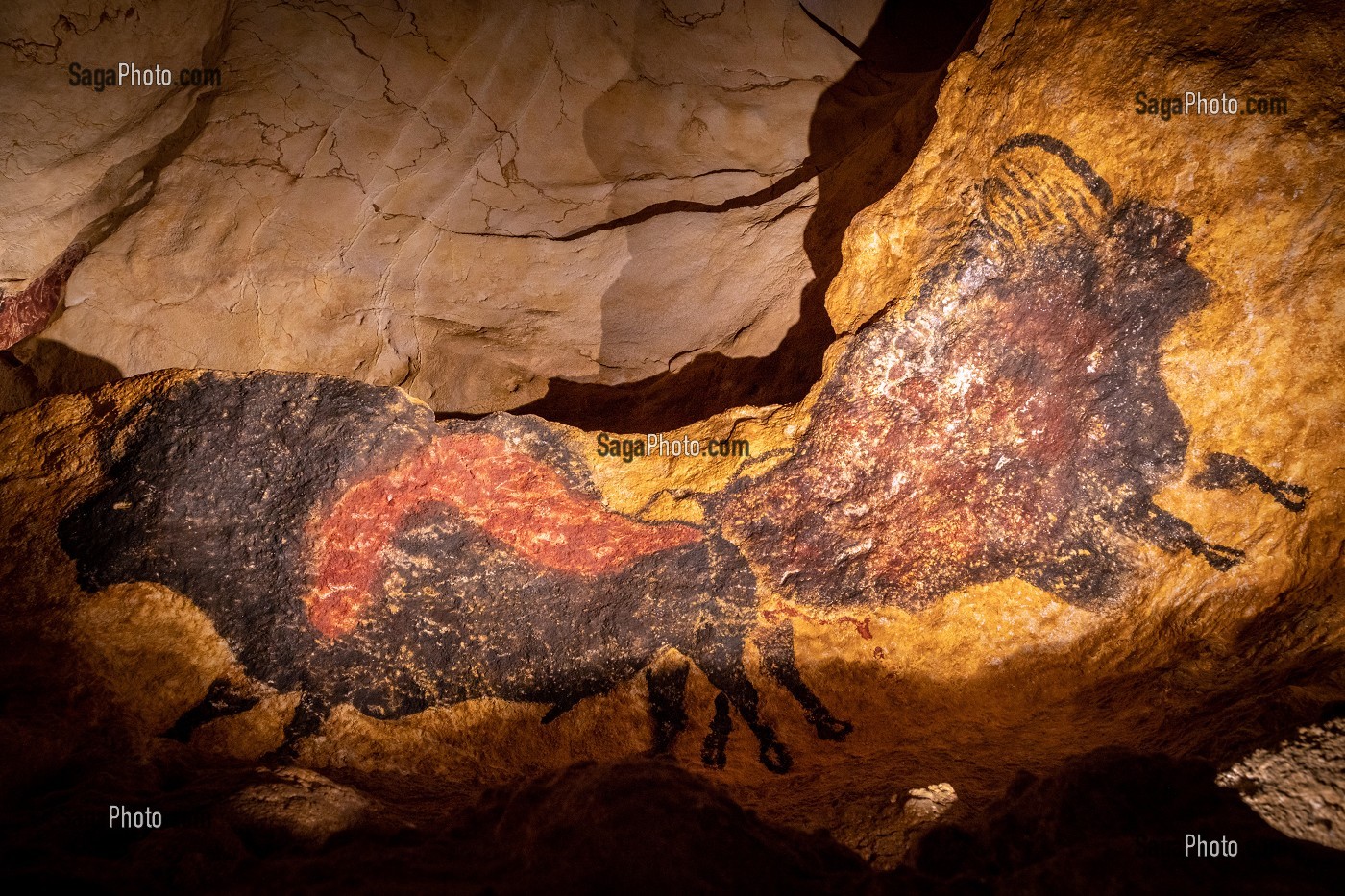 LASCAUX IV, GROTTE, PREHISTOIRE, PEINTURE RUPESTRE, ANIMAUX PREHISTORIQUES, REPRODUCTION