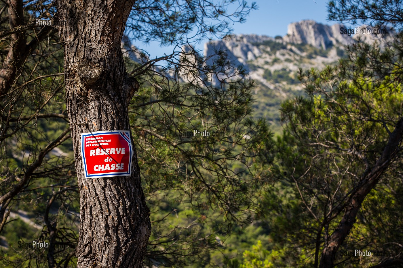 ILLUSTRATION VAUCLUSE (84), PACA, PROVENCE ALPES COTES D'AZUR, FRANCE 