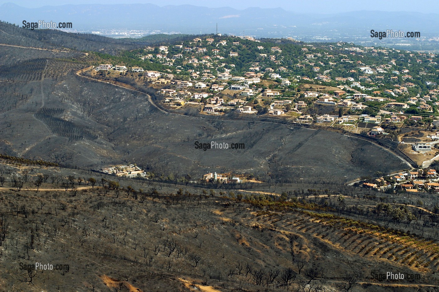 FEU DE FORET MASSIF DES MAURES, VAR (83), JUILLET 2003, FRANCE 