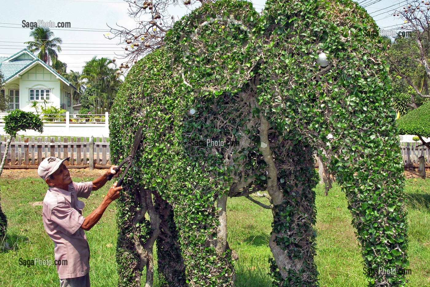 ELEPHANT, SCULPTURE SUR ARBUSTE, PRACHUAP KHIRI KHAN, THAILANDE 