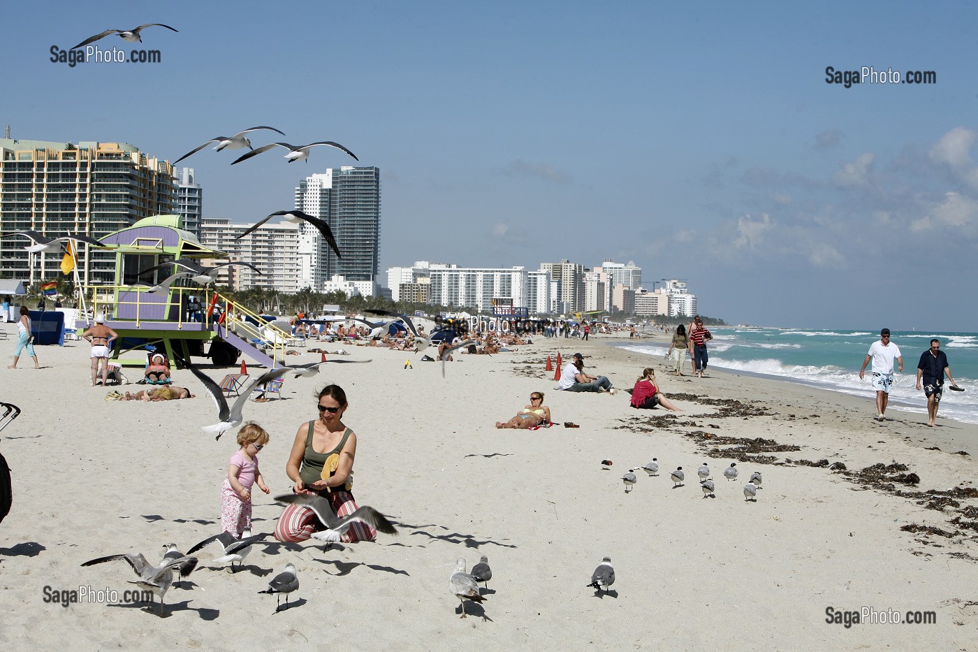 MERE ET SA FILLE DONNE DE LA NOURRITURE AUX MOUETTES, MIAMI BEACH, SOUTH BEACH, FLORIDE, FLORIDA, ETATS-UNIS, USA 