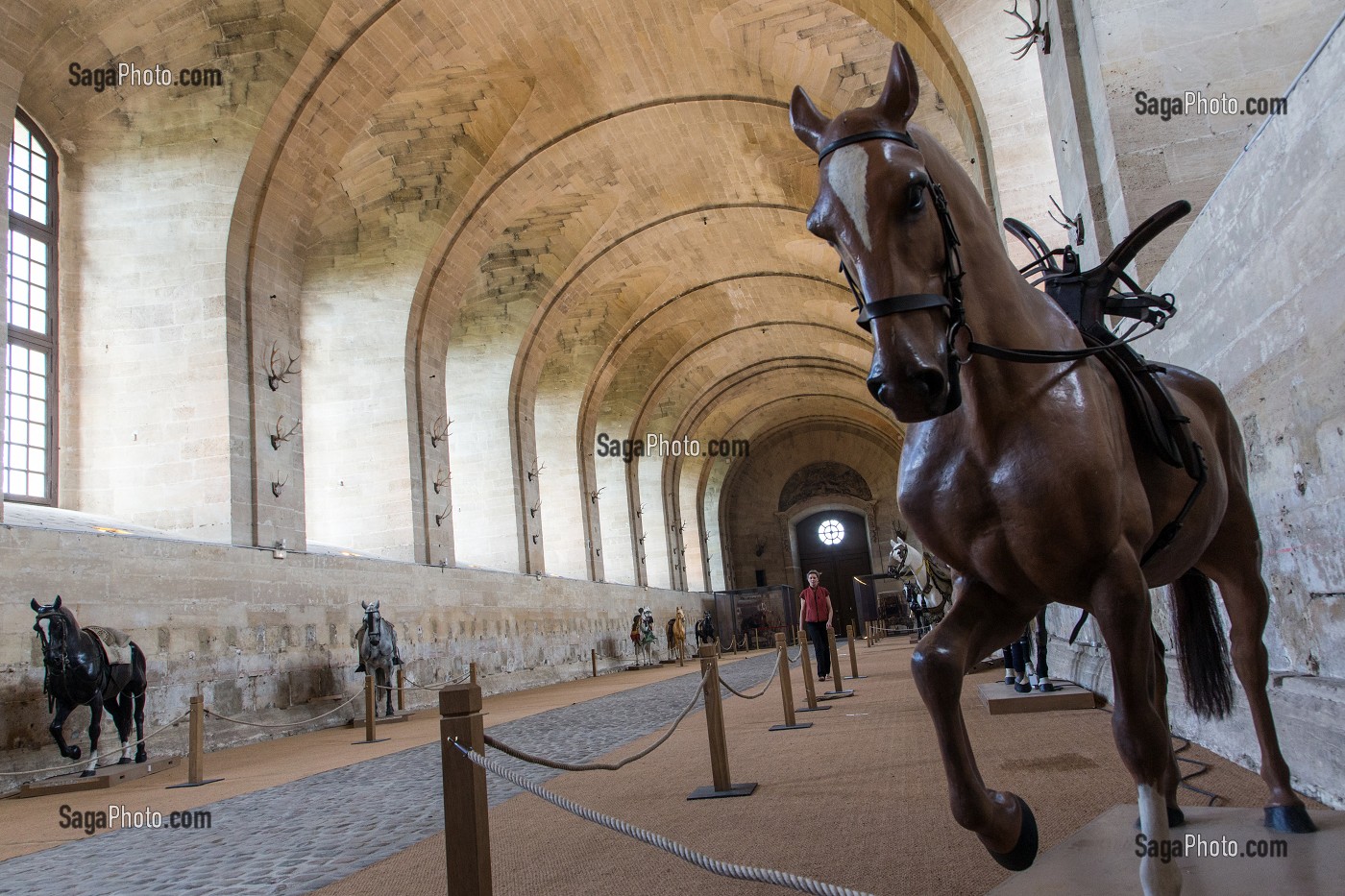  GALLERY OF EQUESTRIAN DISCIPLINES, THE NEW HORSE MUSEUM OPENED IN 2013 IN THE BIG STABLES ON THE ESTATE OF THE CHATEAU DE CHANTILLY, OISE (60), FRANCE