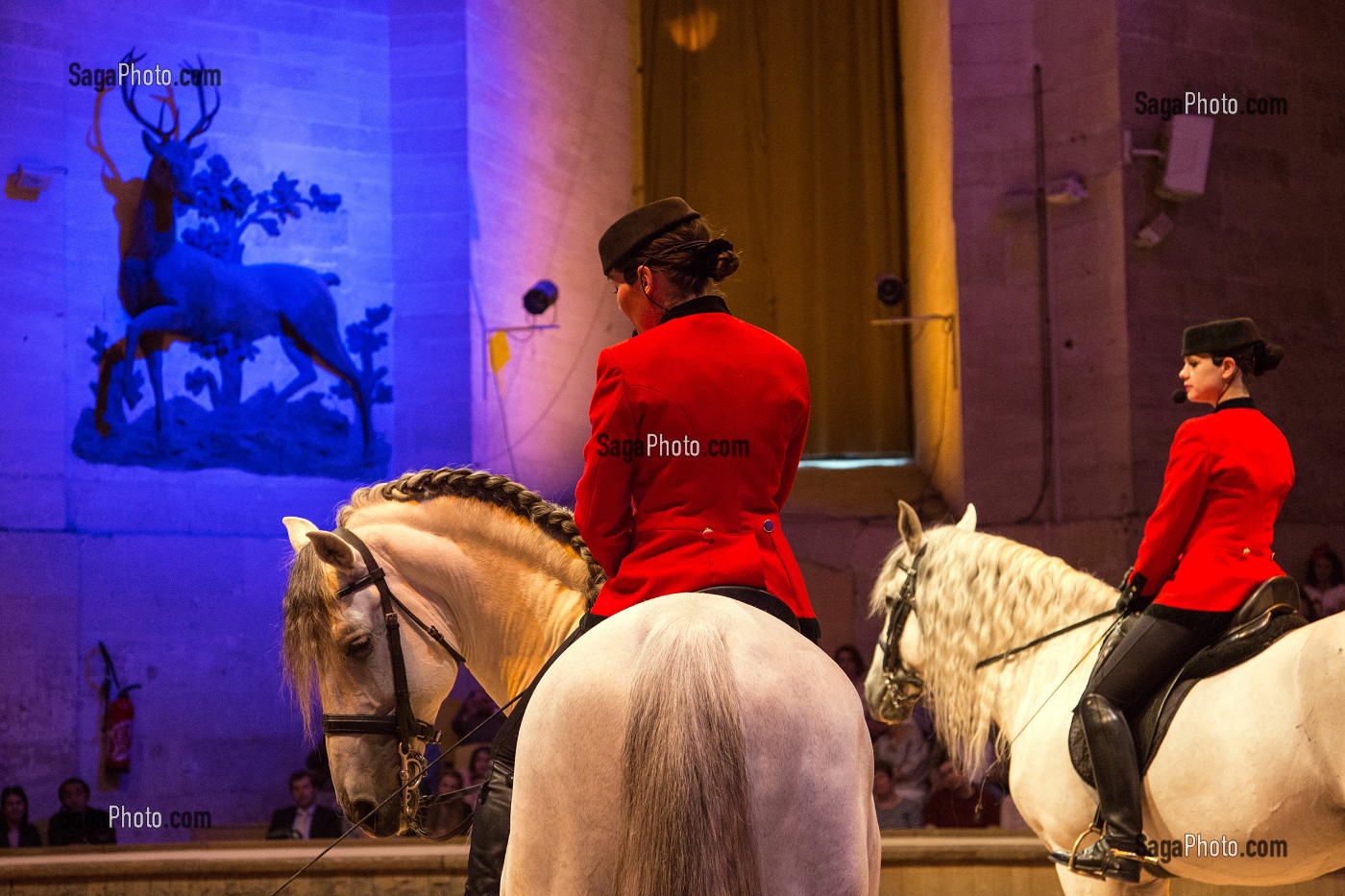  EQUESTRIAN SHOW BELOW THE DOME OF THE BIG STABLES, THE NEW HORSE MUSEUM OPENED IN 2013 IN THE BIG STABLES ON THE ESTATE OF THE CHATEAU DE CHANTILLY, OISE (60), FRANCE