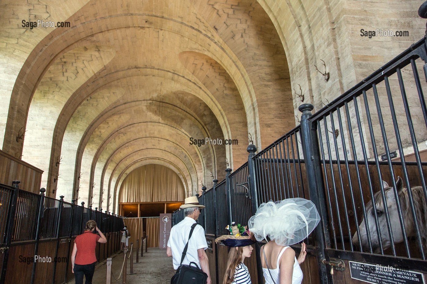  HORSES AND VISITORS IN THE STABLES, THE NEW HORSE MUSEUM OPENED IN 2013 IN THE BIG STABLES ON THE ESTATE OF THE CHATEAU DE CHANTILLY, OISE (60), FRANCE