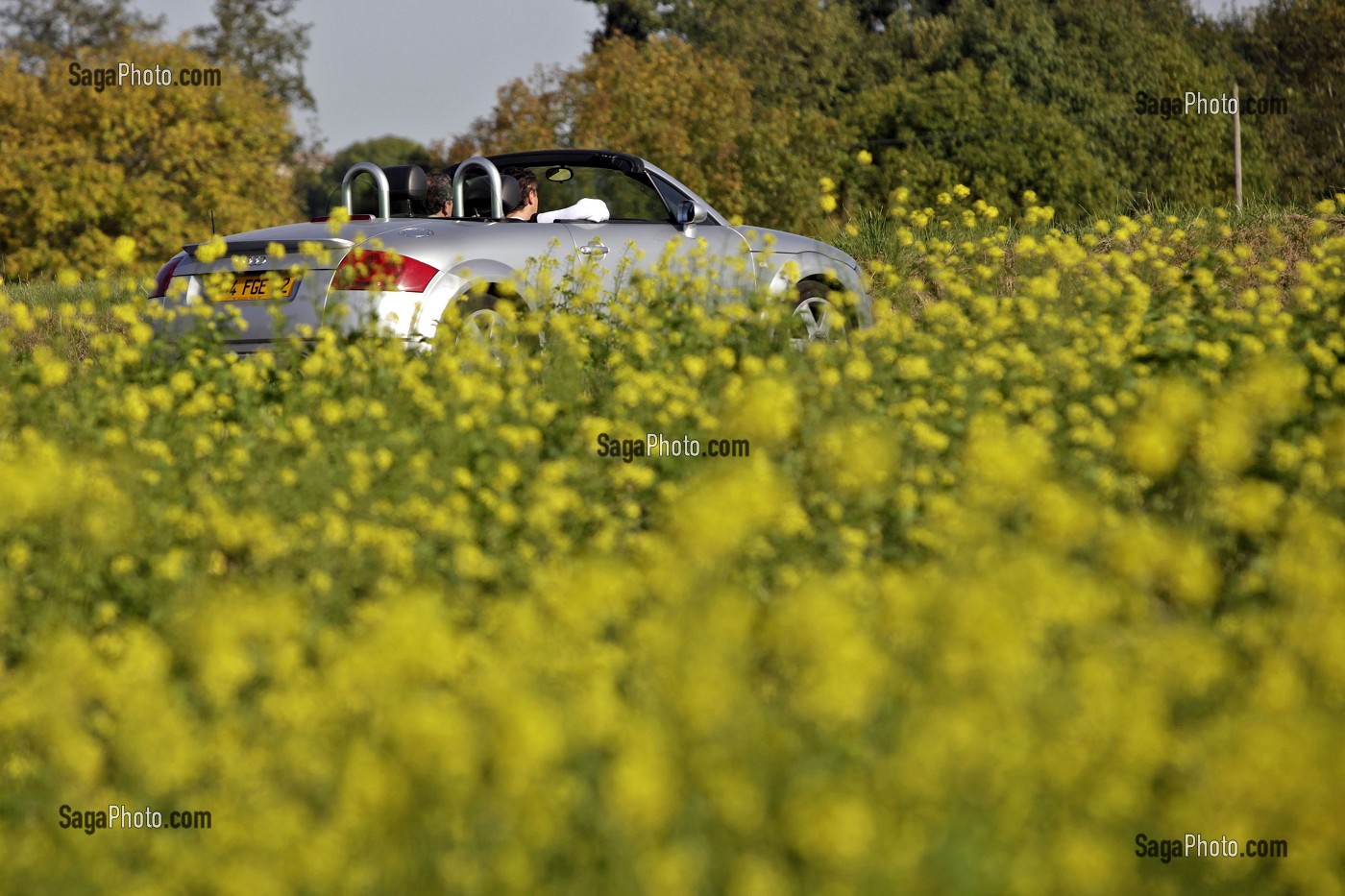 A DRIVE IN THE COUNTRYSIDE IN A CONVERTIBLE, ORNE, FRANCE