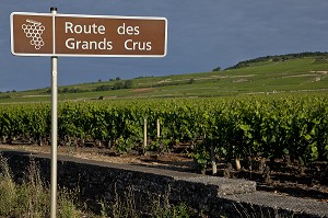 PANNEAU INDIQUANT LA ROUTE DES GRANDS CRUS DE BOURGOGNE, POMMARD, COTE D’OR (21), FRANCE 