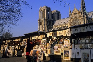 BOUQUINISTES ET CATHEDRALE NOTRE DAME DE PARIS, PARIS, FRANCE 