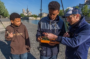 PECHEURS, STREET FISHING, QUAI DE LA TOURNELLE, PARIS (75) 