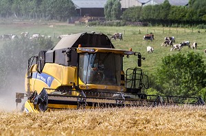 AGRICULTURE DANS L'ORNE (61), FRANCE 