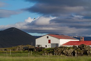FERME, AGRICULTURE EN ISLANDE, EUROPE