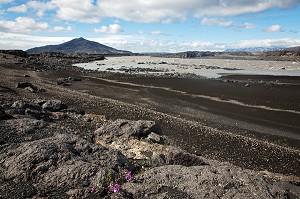 DESERT VOLCANIQUE, HAUTES TERRES D’ISLANDE, EUROPE 