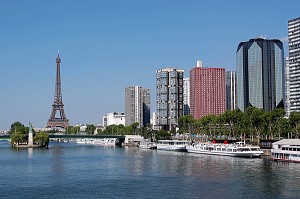 FRONT DE SEINE AVEC LA TOUR EIFFEL ET LA STATUE DE LA LIBERTE, PARIS, ILE-DE-FRANCE, FRANCE 