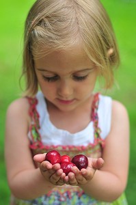 PETITE FILLE, FRUITS ROUGE, SOMME (80), PICARDIE, FRANCE 