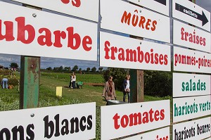 TABLEAU DES FRUITS ET LEGUMES DE SAISON DE LA CUEILLETTE DES JARDINS D'IMBERMAIS, IMBERMAIS (28), FRANCE 