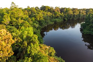 LA RIVIERE KOUROU AU MILIEU DE LA CANOPEE DE LA FORET AMAZONIENNE, GUYANE FRANCAISE, DEPARTEMENT-REGION D'OUTRE-MER, AMERIQUE DU SUD, FRANCE 